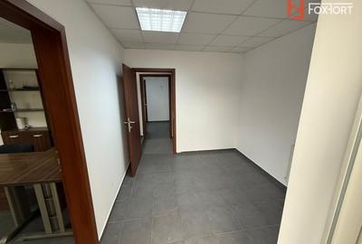 Spațiu industrial, de 500 mp, în Torontalului - 6