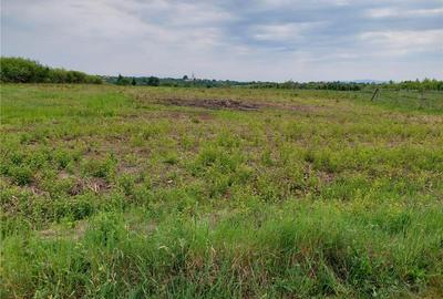 Teren de 6670 mp, în Viile Satu Mare - 3