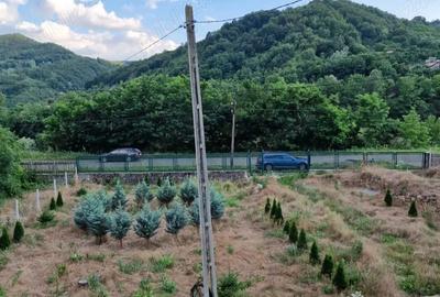Casă cu 2 camere cu Teren 2700 Mp în Mânzălești - 1