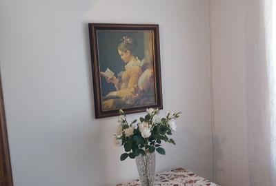 Apartament cu 2 camere semidecomandat în Fălticeni - 14