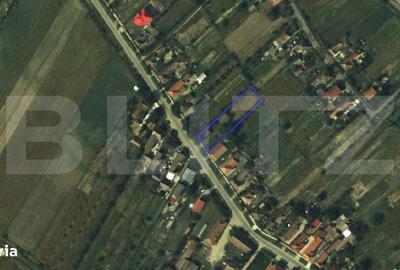Spațiu comercial, în Micula - 9