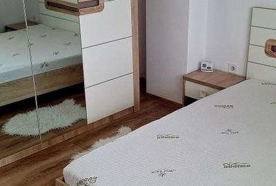 Apartament cu 2 camere decomandat în Lotrioara - 4