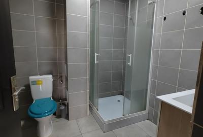 Apartament cu 2 camere semidecomandat în Tei - 9