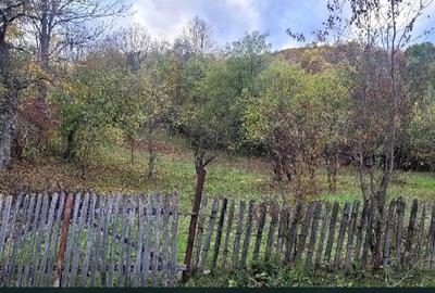 Teren de 6040 mp, în Piatra - 5