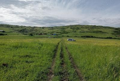 Teren de 1300 mp, în Chinteni - 3