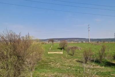 Teren în Pielești