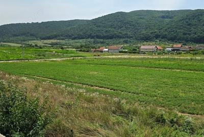 Casă cu 6 camere în Leșnic - 12