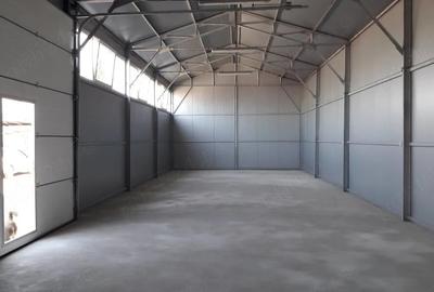 Spațiu comercial, de 120 mp, în Cantemir - 3