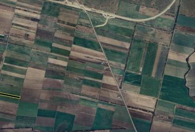 Teren agricol extravilan de 11900 mp, în Giroc - 2