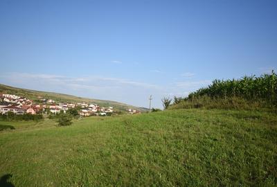 Teren Construcții intravilan de 3800 mp, în Chinteni - 1