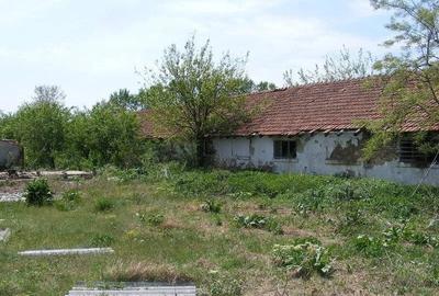 Teren de 9795 mp, în Rădoiești