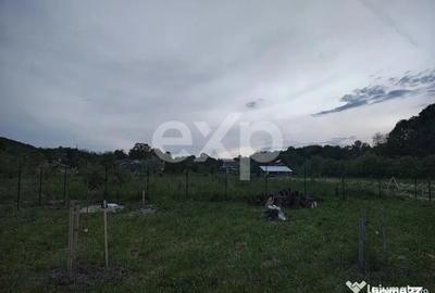 Teren în Băiculești