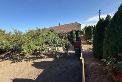 Casă cu Teren 190 Mp în Peciu Nou