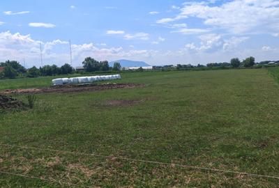 Teren Construcții intravilan de 5000 mp, în Bod - 8