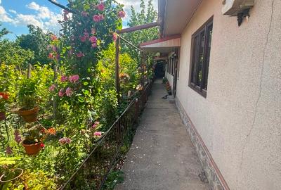 Casă individuală cu 3 camere cu Teren 980 Mp în Modelu