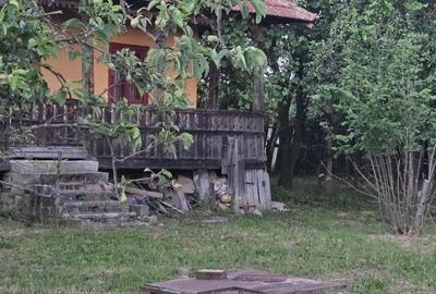 Casă individuală cu 2 camere cu Teren 7769 Mp în Budieni - 6