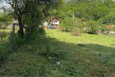 Teren de 966 mp, în Negoești