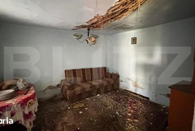 Casă cu 3 camere cu Teren 175 Mp în Brestei - 4