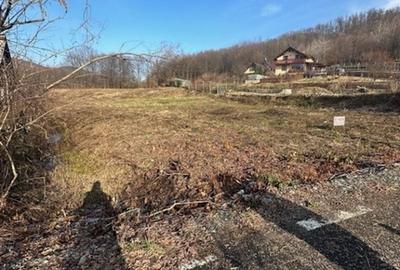 Teren intravilan de 3600 mp, în Tăuții-Măgherăuș - 3