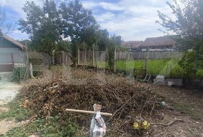 Casă cu 2 camere în Central