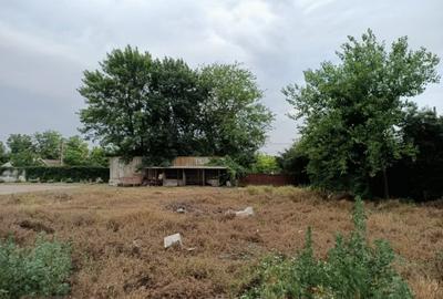 Teren intravilan de 2000 mp, în Tortoman - 6