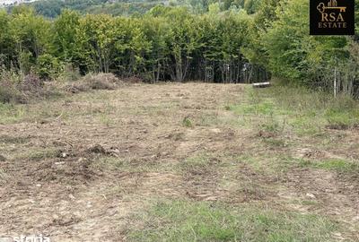 Teren de 3000 mp, în Budești