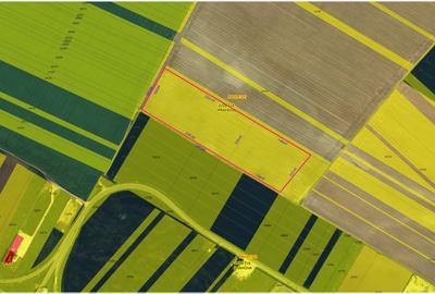 Teren agricol extravilan de 39144 mp, în Păulești - 1