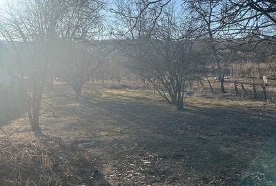 Casă cu 4 camere în Lopadea Veche