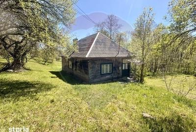 Casă cu 3 camere cu Teren 6039 Mp în Desești - 5