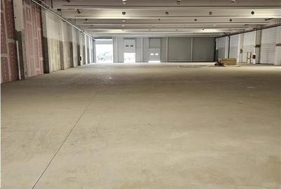 Spațiu industrial, de 9,500 mp, în Periferie - 7
