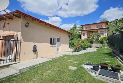 Casă cu 2 camere în Podgoria - 10