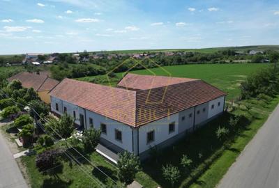 Casă individuală cu 5 camere cu Canalizare în Petrovaselo - 1