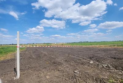 Teren de 566 mp, în Sânmihaiu Român - 1