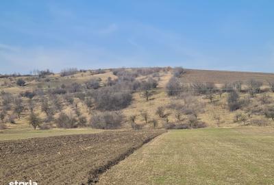 Teren de 4000 mp, în Măgirești