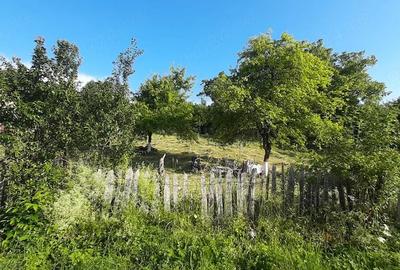 Teren de 410 mp, în Cerișor - 5