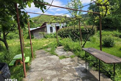 Casă cu 4 camere cu Teren 3450 Mp în Mușătești - 1