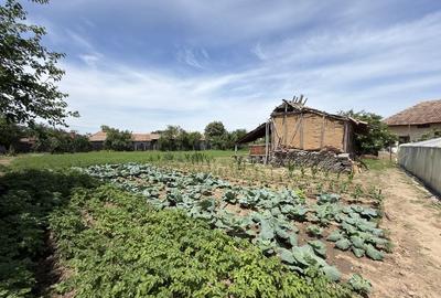 Casă cu 3 camere în Pătulele - 3