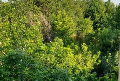 Garsonieră decomandată în Colentina - 9