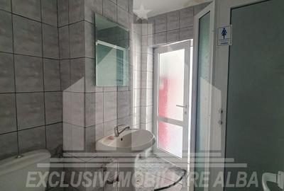 Spațiu comercial, de 153 mp, în Cetate - 5