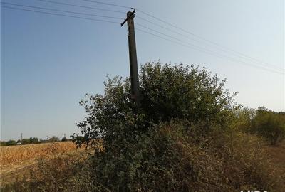 Teren de 6400 mp, în Cosmești - 1