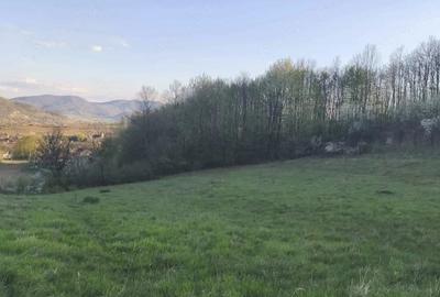 Teren de 4309 mp, în Căinelu de Jos - 3