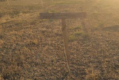 Teren de 4000 mp, în Tileagd
