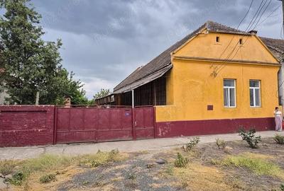 Casă cu 5 camere cu Teren 1870 Mp în Lenauheim