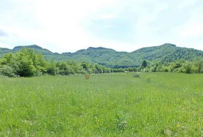 Teren Intravilan - Pretabil Investitie - 5