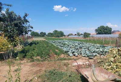 Teren agricol intravilan de 2654 mp, în Micro 11 - 4