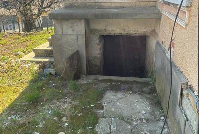 Casă cu 3 camere în Micloșanii Mici - 1