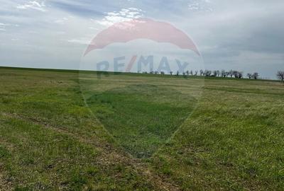 Teren Construcții intravilan de 9190 mp, în Șagu