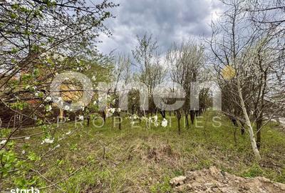 Teren de 800 mp, în Valea Borcutului - 3
