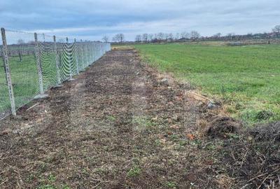 Teren intravilan de vanzare, 15 ari, in Odoreu - 1