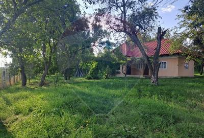 Casă individuală cu 3 camere cu Teren 2000 Mp în Runcu - 7